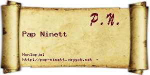Pap Ninett névjegykártya
